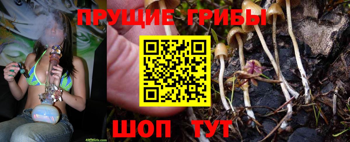 Сургут  Псилоцибиновые грибы прущие грибы  Вход с VPN 