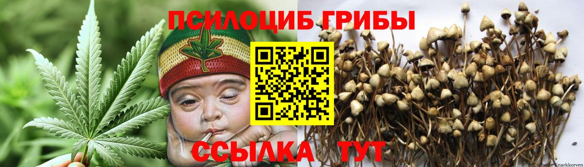 Галлюциногенные грибы мицелий Сургут